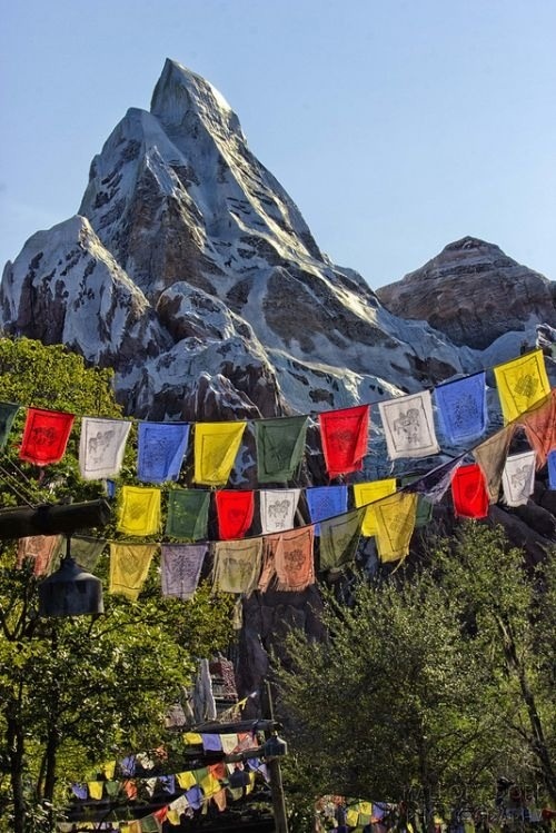 Daily yoga with stunning mountain views